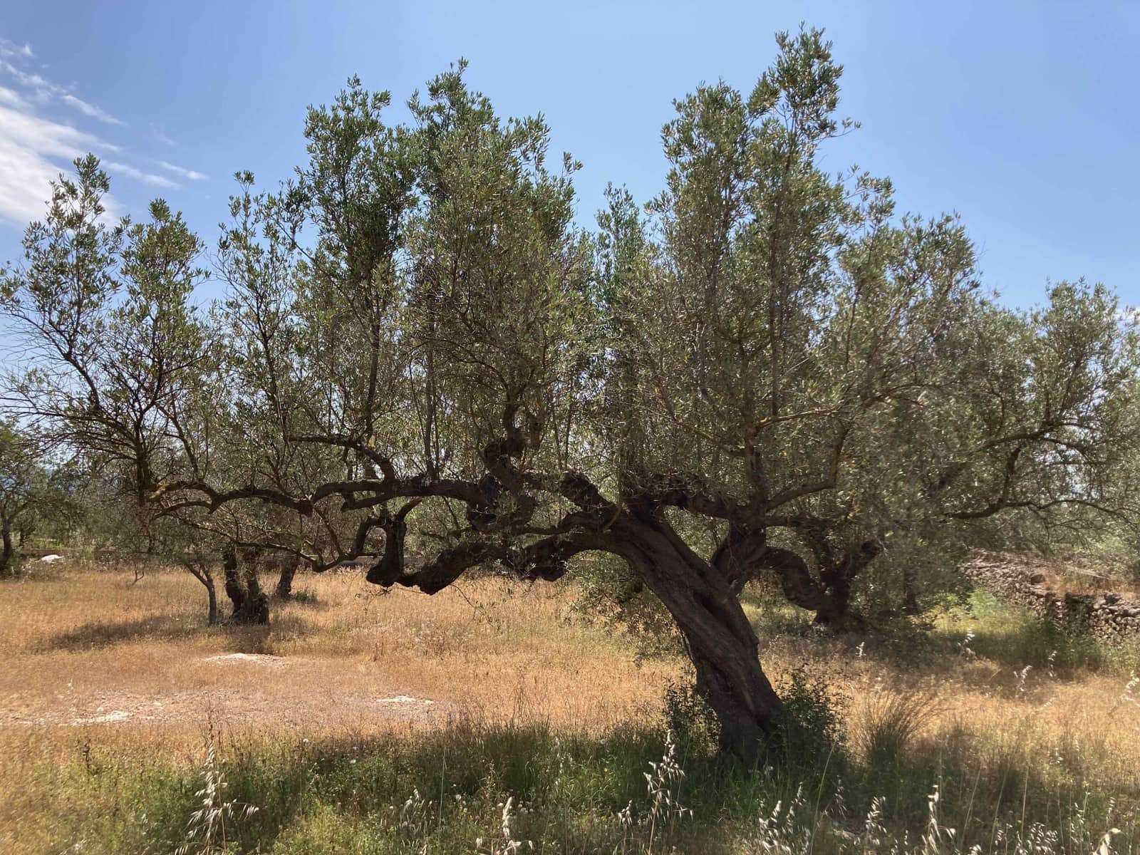Finca/Casa Rural de 4 habitaciones en El Perelló en venta con piscina garaje - 199.000 € (Ref: 9870440)
