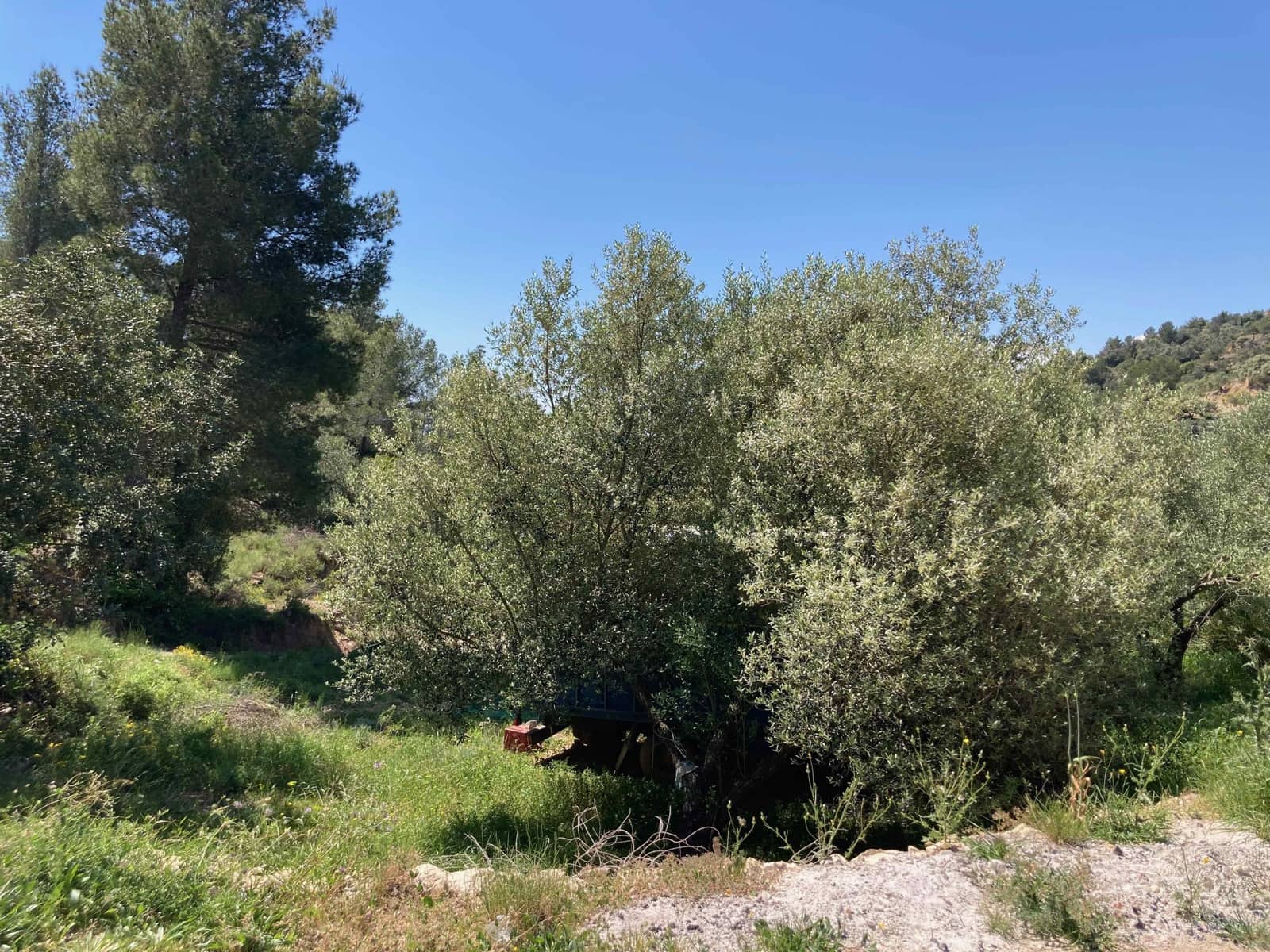 1 slaapkamer Finca/Landhuis te koop in Tortosa met garage - € 99.000 (Ref: 9909791)