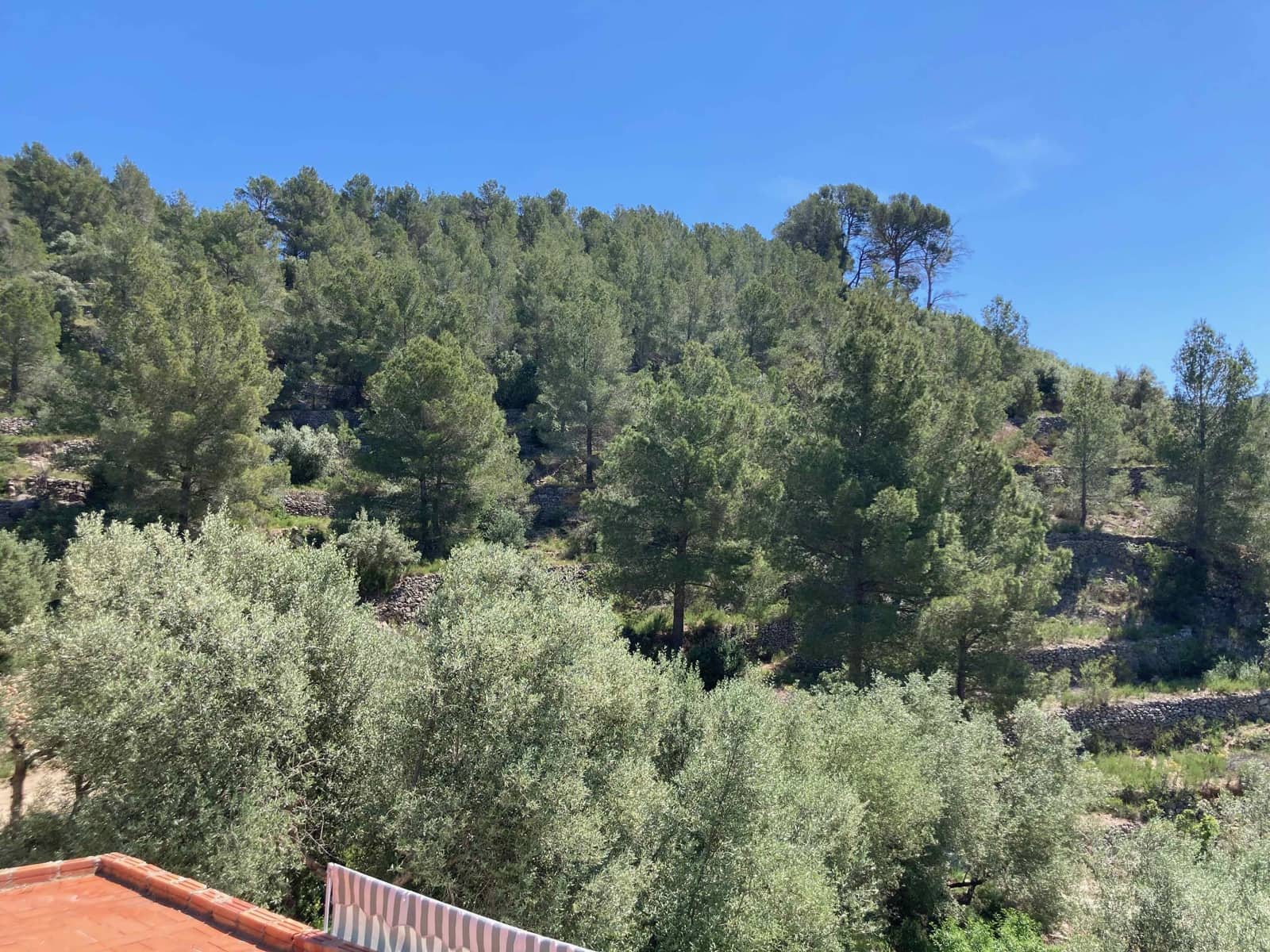 1 slaapkamer Finca/Landhuis te koop in Tortosa met garage - € 99.000 (Ref: 9909791)