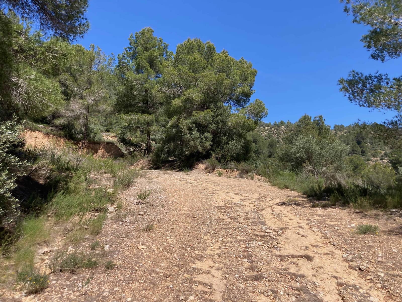 1 slaapkamer Finca/Landhuis te koop in Tortosa met garage - € 99.000 (Ref: 9909791)