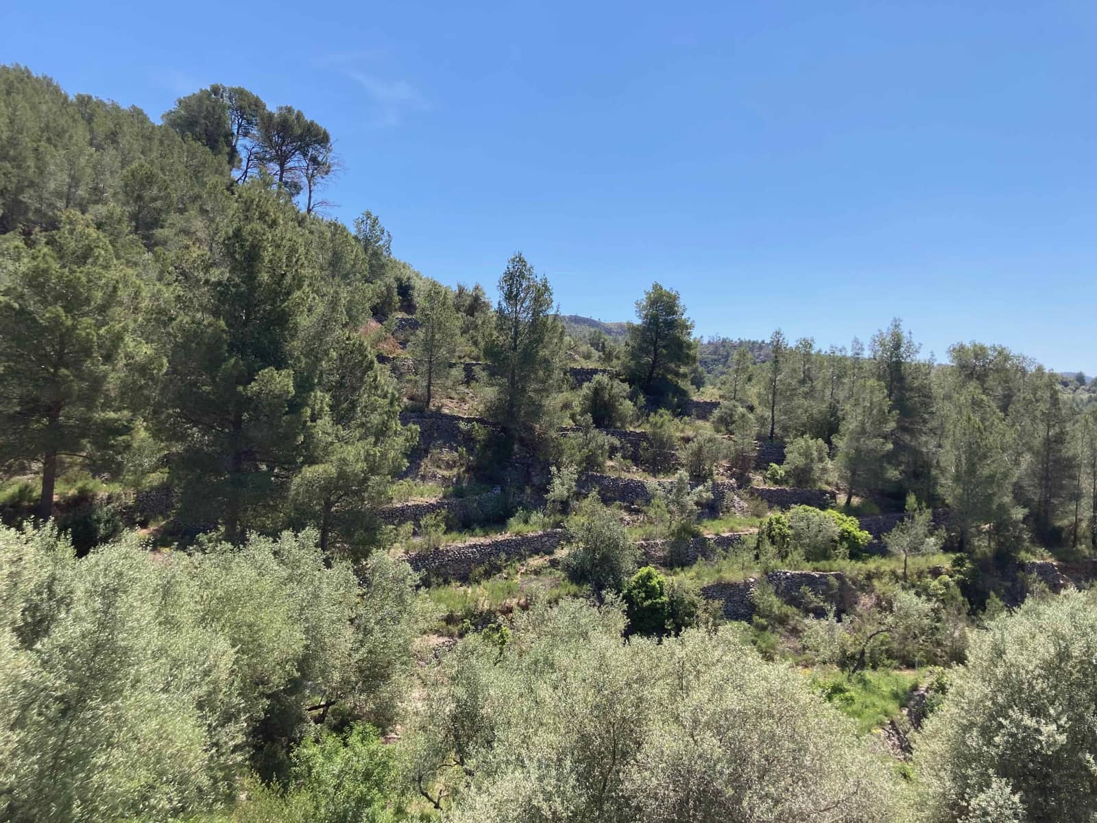 1 slaapkamer Finca/Landhuis te koop in Tortosa met garage - € 99.000 (Ref: 9909791)