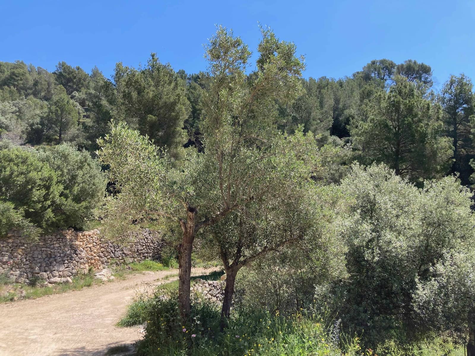 1 slaapkamer Finca/Landhuis te koop in Tortosa met garage - € 99.000 (Ref: 9909791)