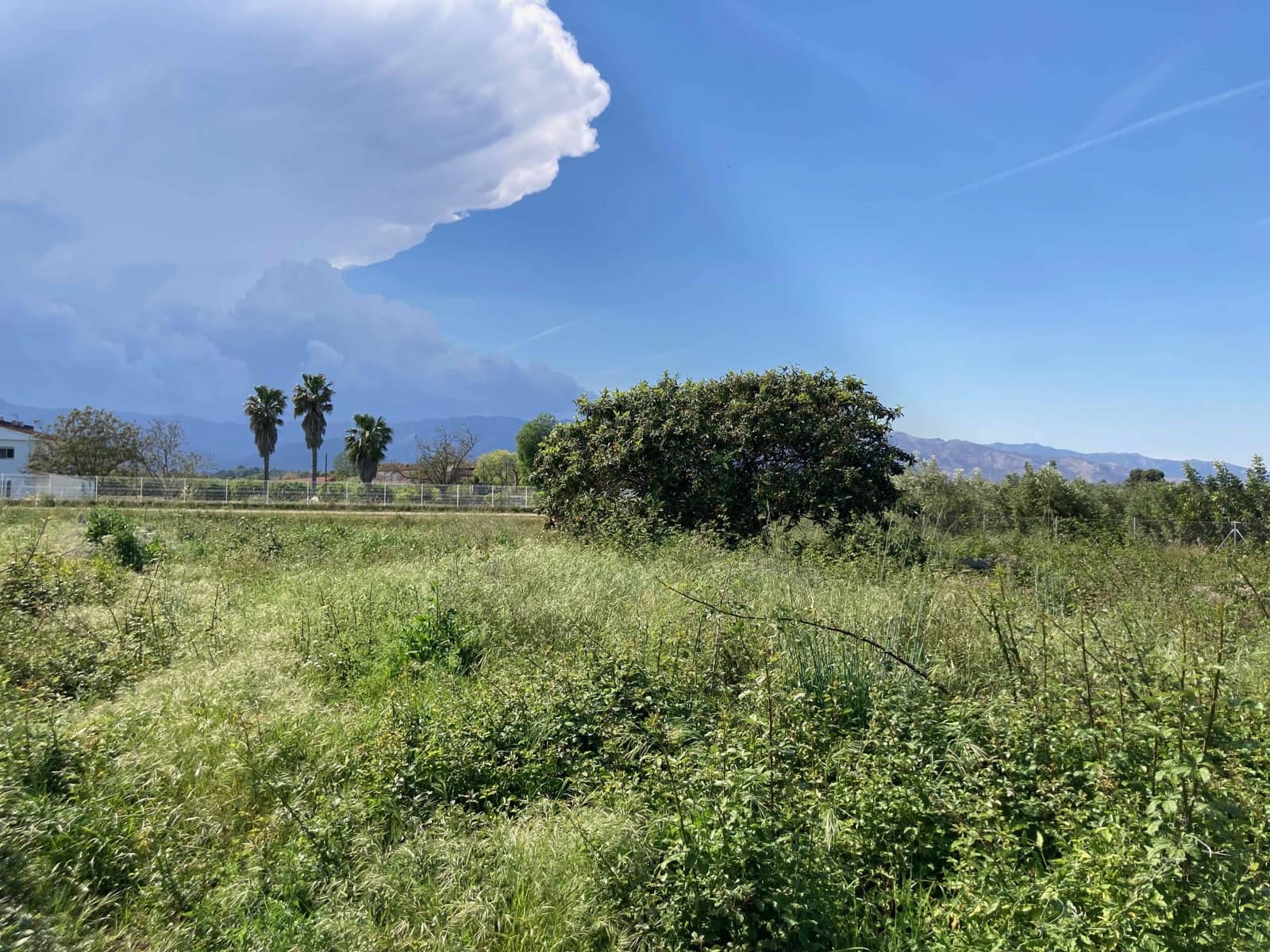 1 soverom Finca/Herregård til salgs i El Perello - € 35 000 (Ref: 9909793)