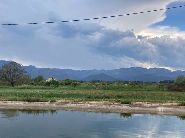 1 soverom Finca/Herregård til salgs i El Perelló - € 35 000 (Ref: 9909793)