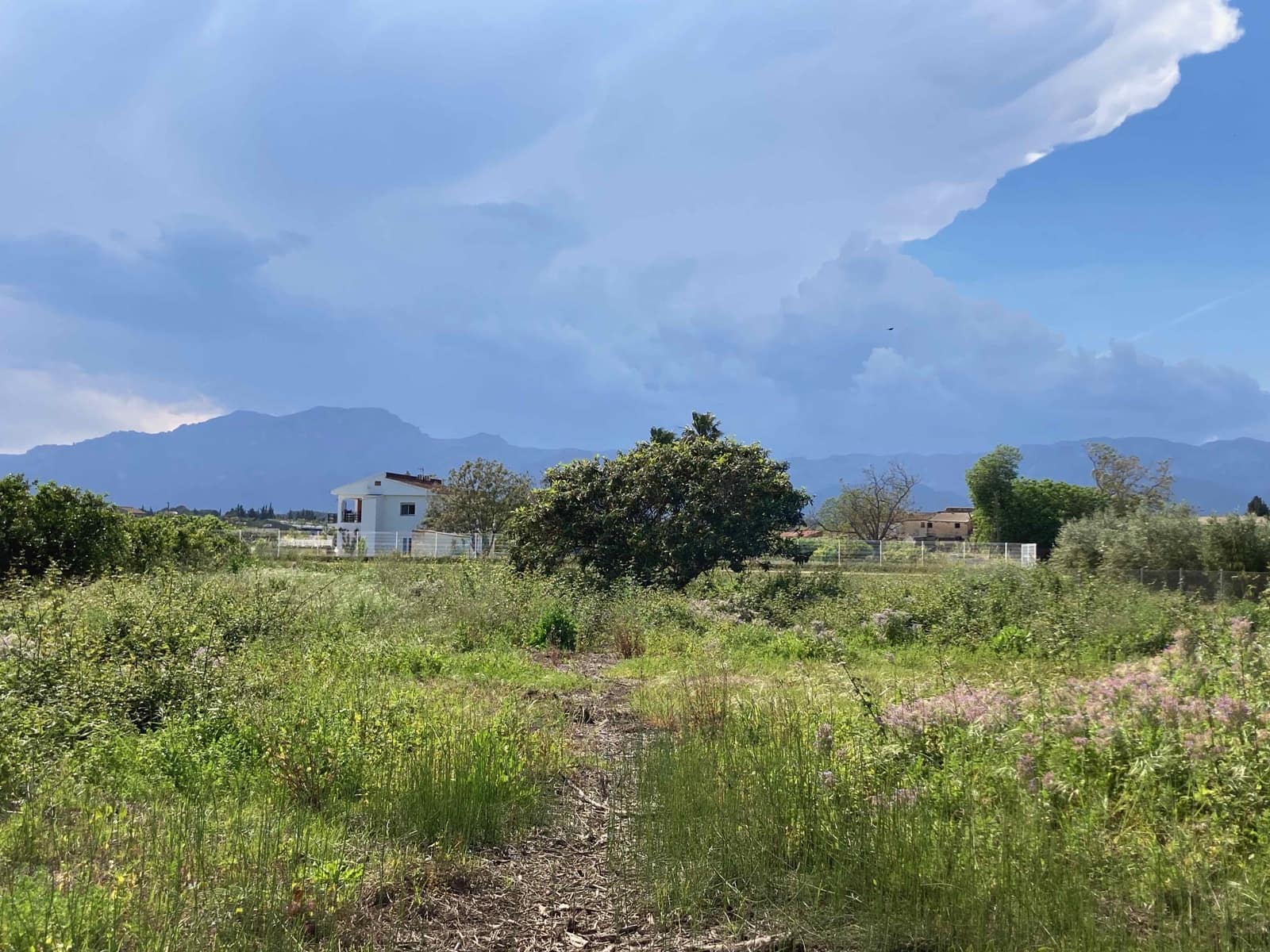 1 soverom Finca/Herregård til salgs i El Perello - € 35 000 (Ref: 9909793)