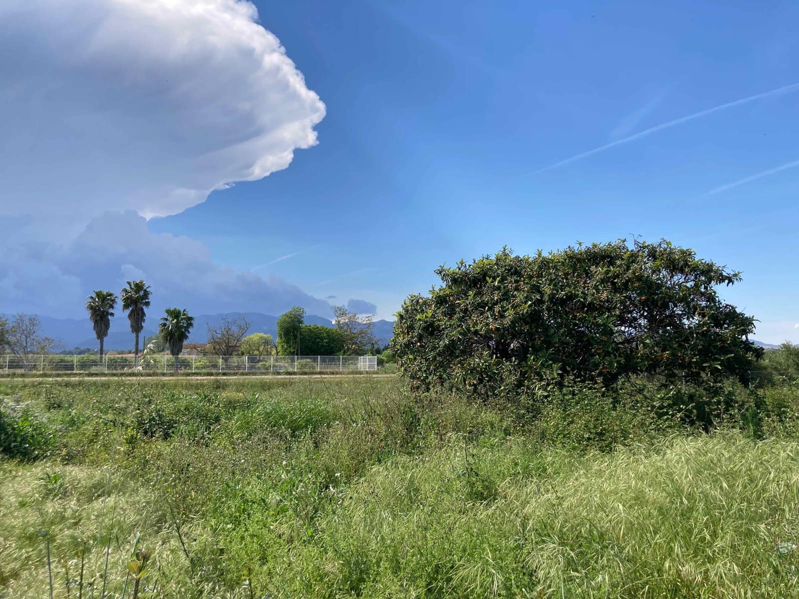 1 soverom Finca/Herregård til salgs i El Perello - € 35 000 (Ref: 9909793)