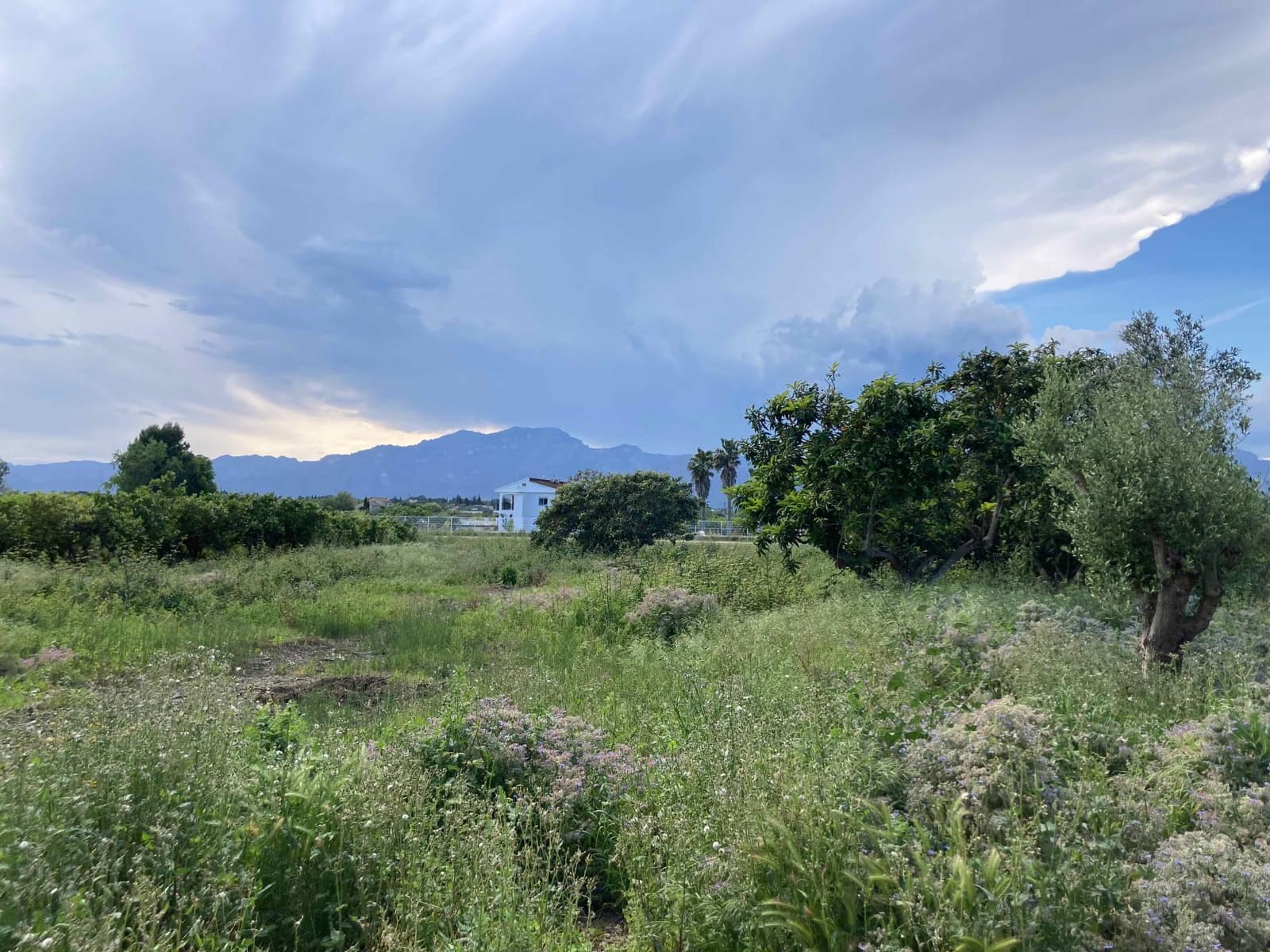 1 soverom Finca/Herregård til salgs i El Perello - € 35 000 (Ref: 9909793)