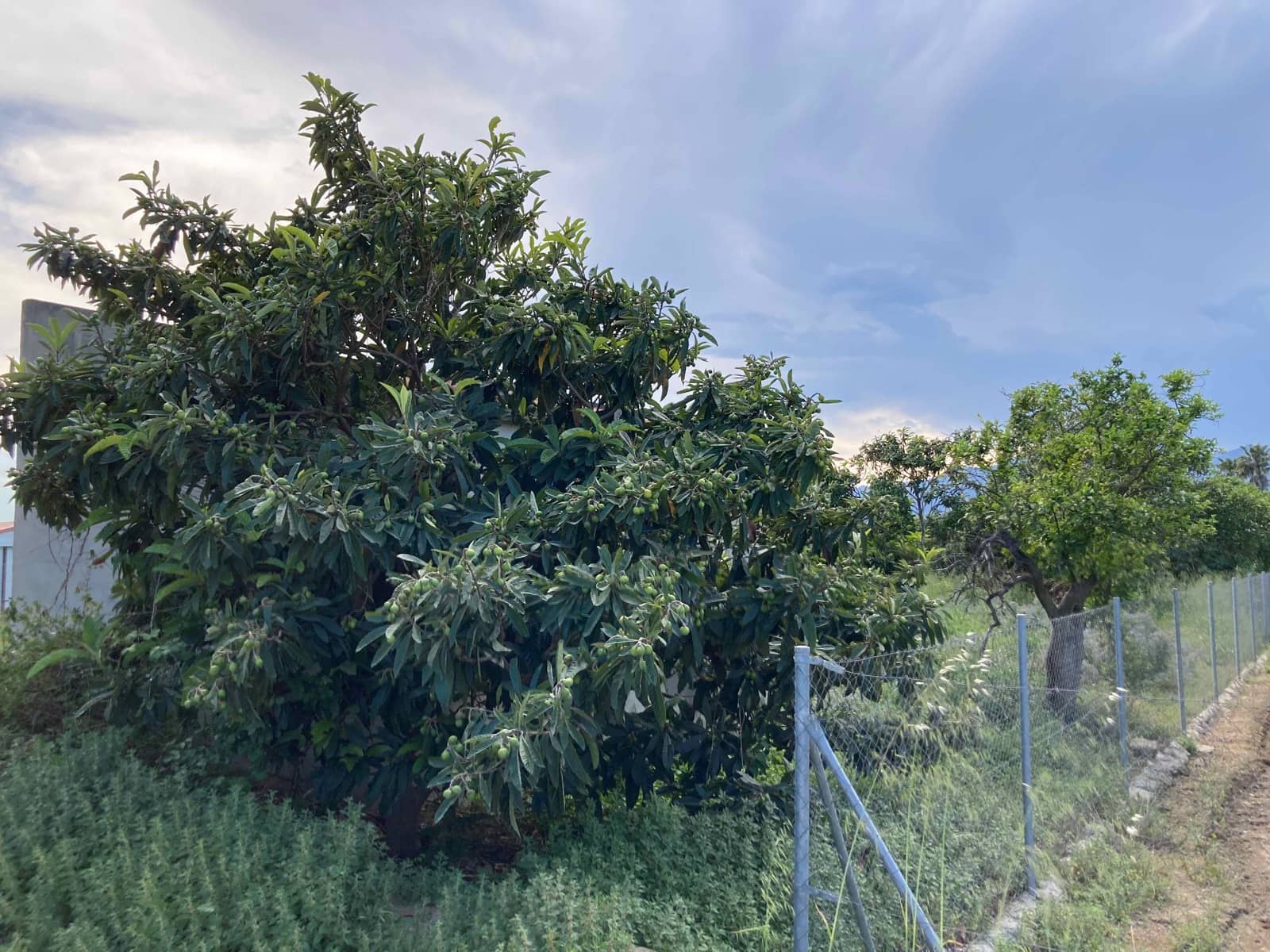 1 soverom Finca/Herregård til salgs i El Perello - € 35 000 (Ref: 9909793)