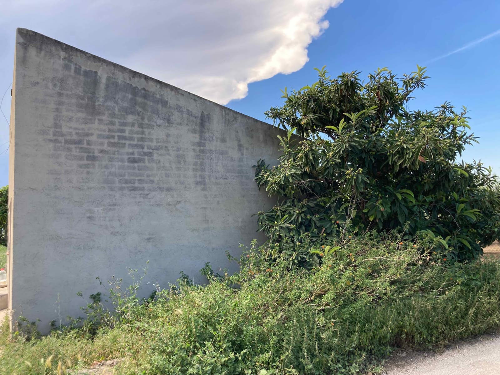1 soverom Finca/Herregård til salgs i El Perello - € 35 000 (Ref: 9909793)