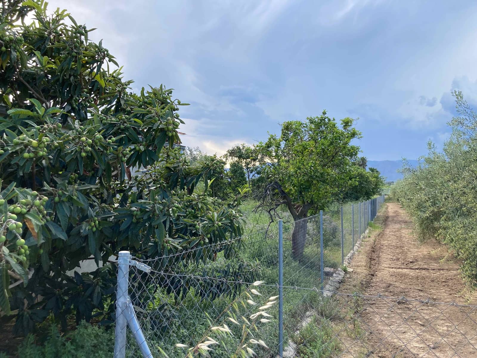 1 soverom Finca/Herregård til salgs i El Perello - € 35 000 (Ref: 9909793)