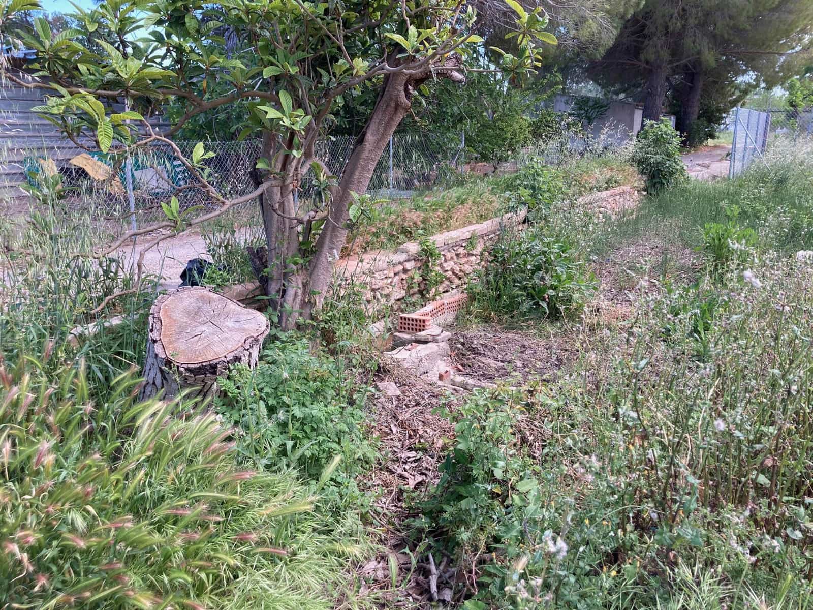 1 soverom Finca/Herregård til salgs i El Perello - € 35 000 (Ref: 9909793)