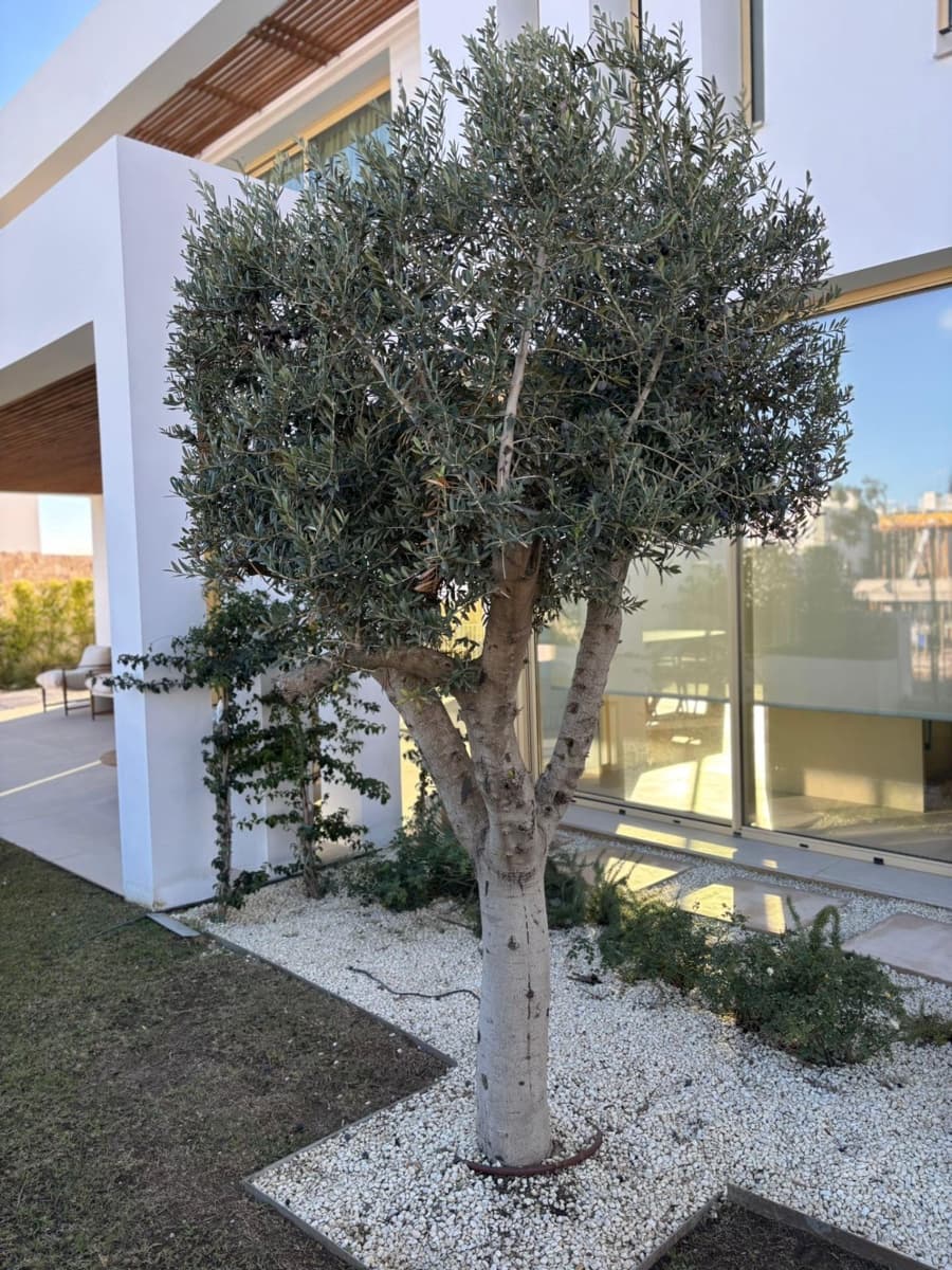 6 bedroom Villa for sale in Fuengirola with pool garage - € 2,580,000 (Ref: 9449429)