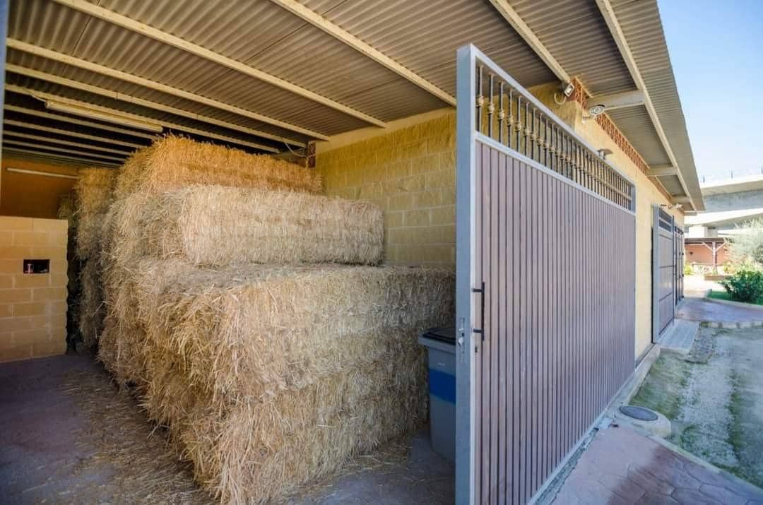 2 soverom Finca/Herregård til salgs i Entrerrios med garasje - € 510 900 (Ref: 9456389)