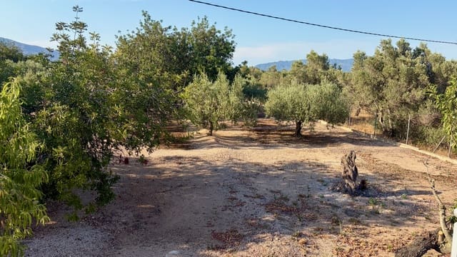 3 quarto Moradia para venda em Roquetes com piscina - 265 000 € (Ref: 10136354)