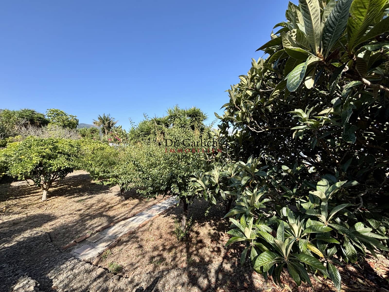 4 sovrum Hus till salu i Icod de los Vinos med pool garage - 690 000 € (Ref: 9450188)