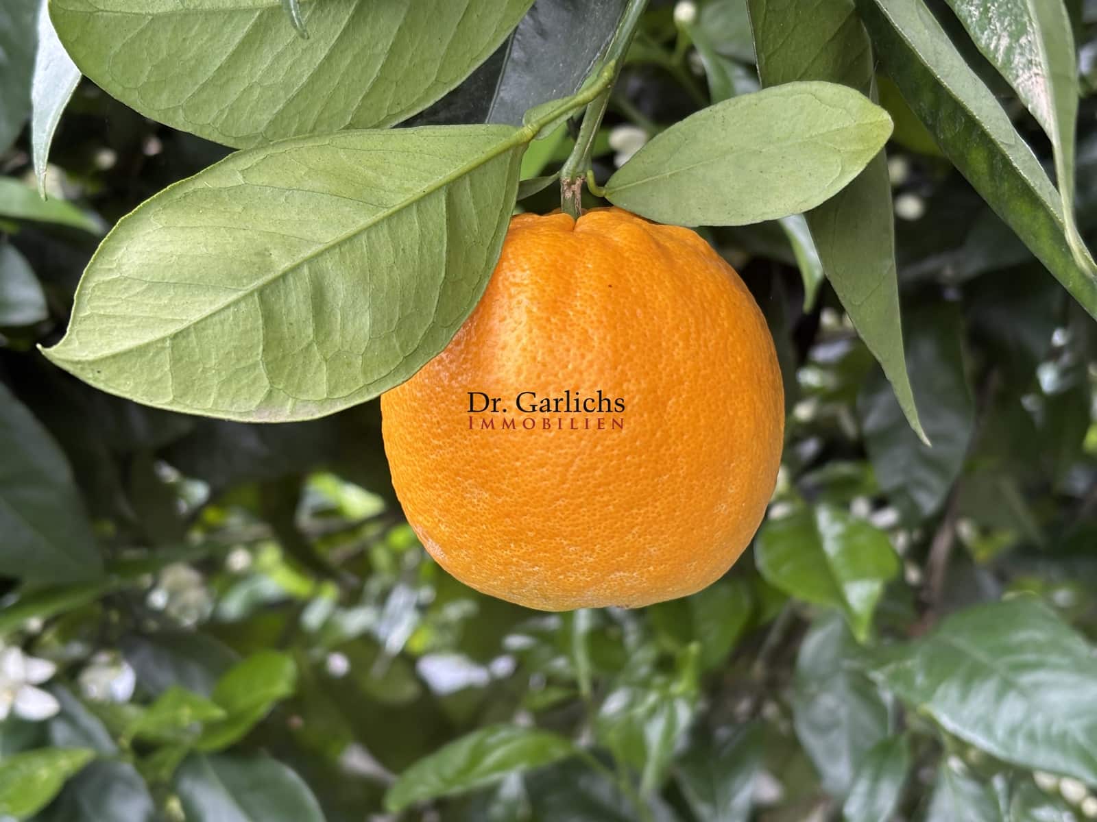 4 sovrum Hus till salu i Tacoronte med garage - 1 900 000 € (Ref: 9450537)