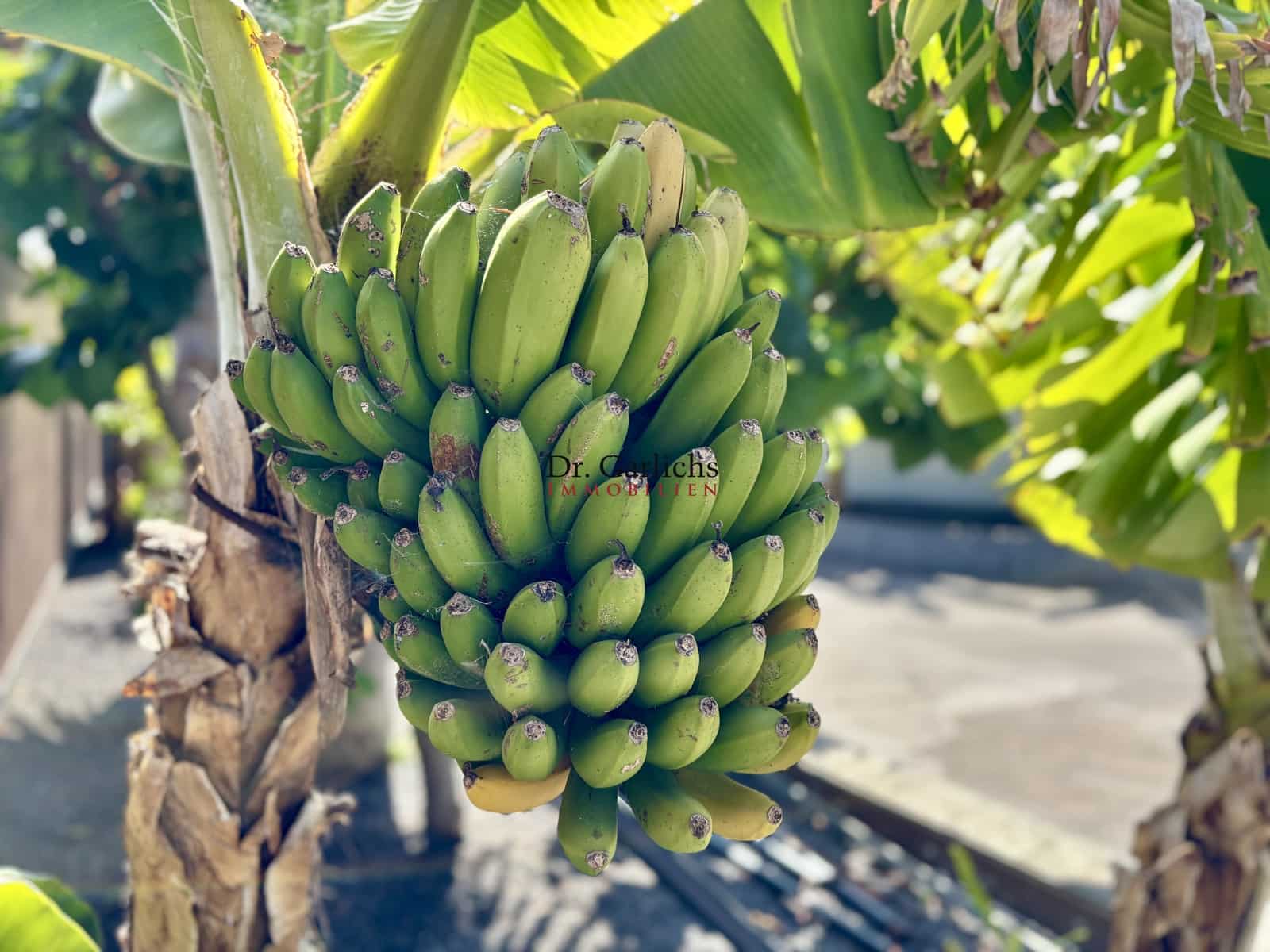 4 sovrum Hus till salu i Tacoronte med garage - 1 900 000 € (Ref: 9450537)