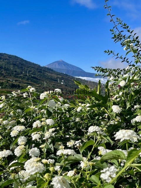 4 quarto Casa em Banda para venda em La Victoria de Acentejo com piscina garagem - 948 000 € (Ref: 9451559)