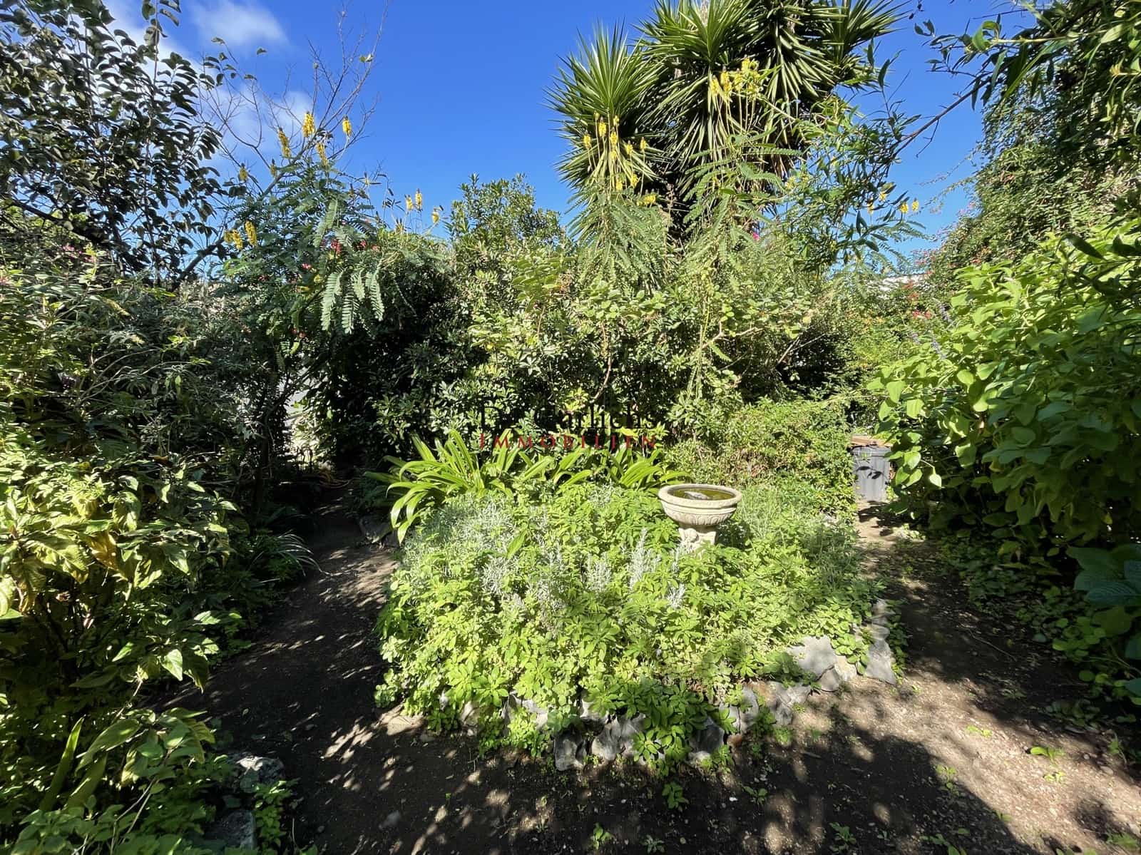 6 sovrum Hus till salu i Icod de los Vinos - 3 300 000 € (Ref: 9452342)