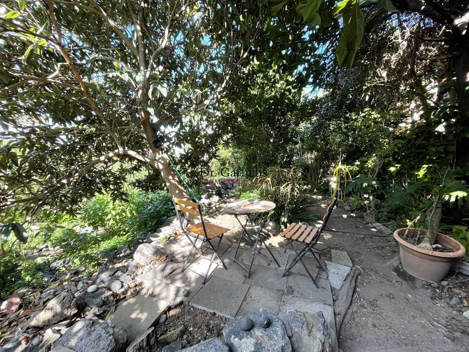 6 sovrum Hus till salu i Icod de los Vinos - 3 300 000 € (Ref: 9452342)