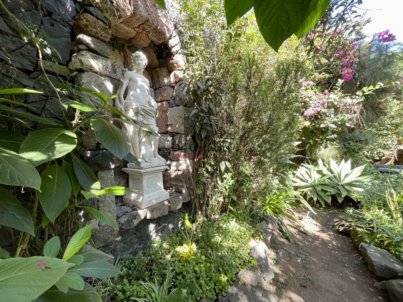 6 sovrum Hus till salu i Icod de los Vinos - 3 300 000 € (Ref: 9452342)