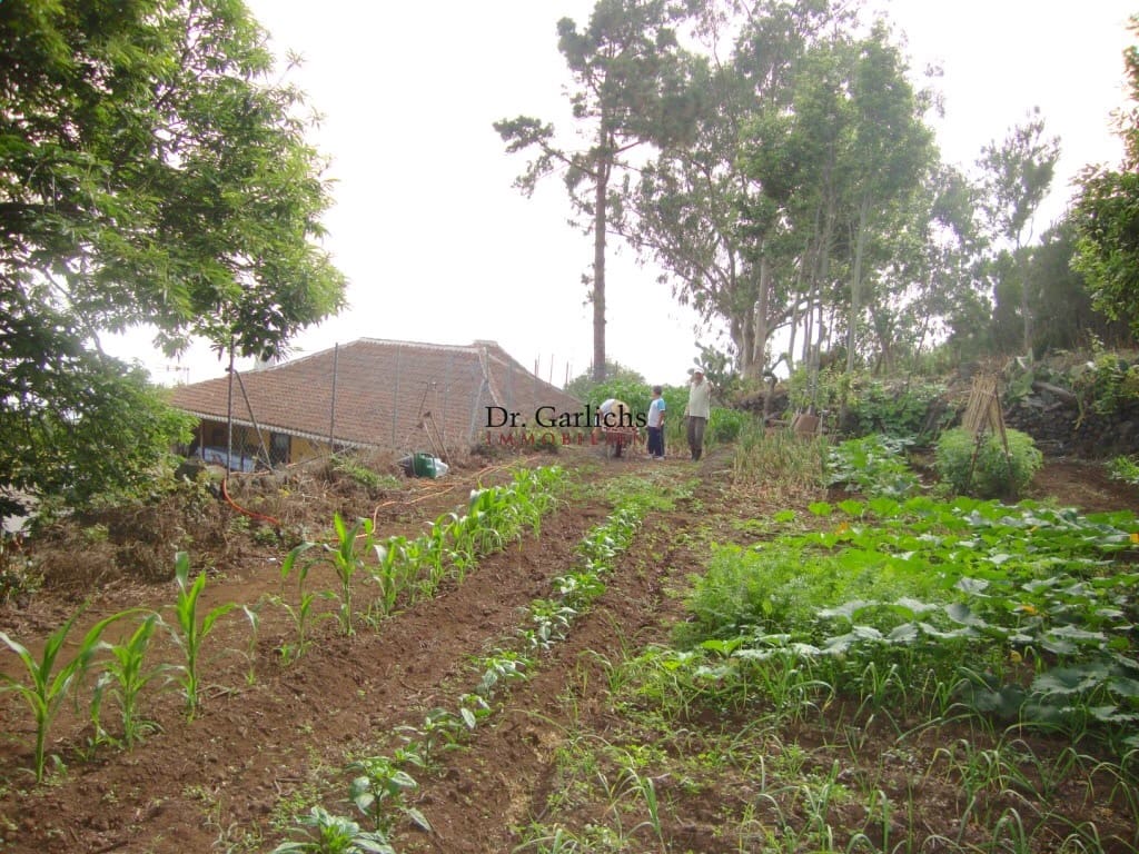 2 makuuhuone Omakotitalo myytävänä paikassa El Tanque mukana uima-altaan 
autotalli - 450 000 € (Ref: 9452360)