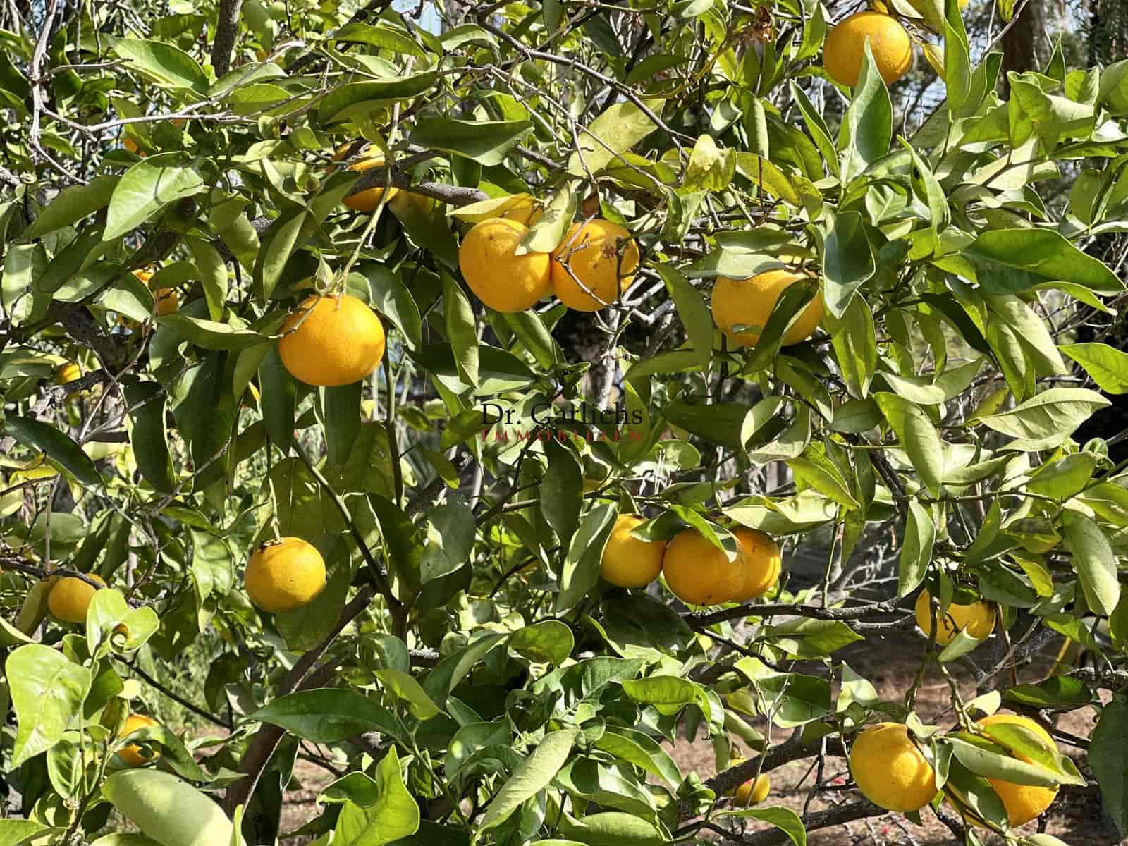 6 soveværelse Byhus til salg i La Orotava med swimmingpool garage - € 1.300.000 (Ref: 9452361)