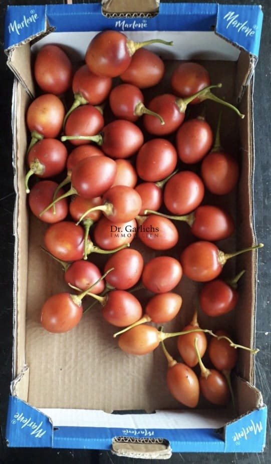 Bungalow te koop in La Orotava met garage - € 570.000 (Ref: 9685892)