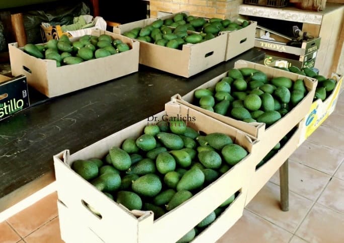 Bungalow te koop in La Orotava met garage - € 570.000 (Ref: 9685892)