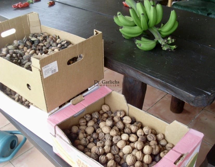 Bungalow te koop in La Orotava met garage - € 570.000 (Ref: 9685892)