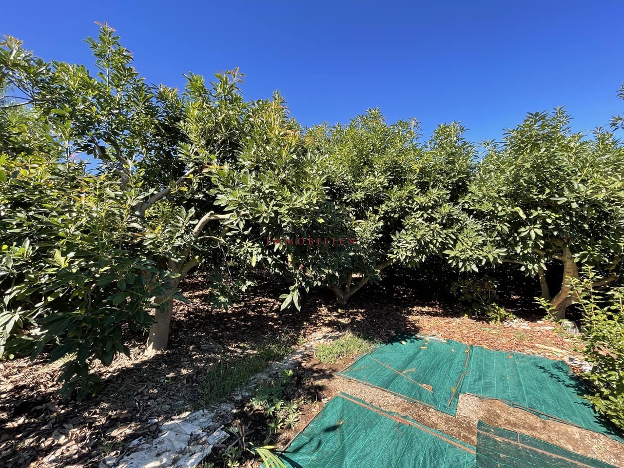 Bungalow te koop in La Orotava met garage - € 570.000 (Ref: 9685892)