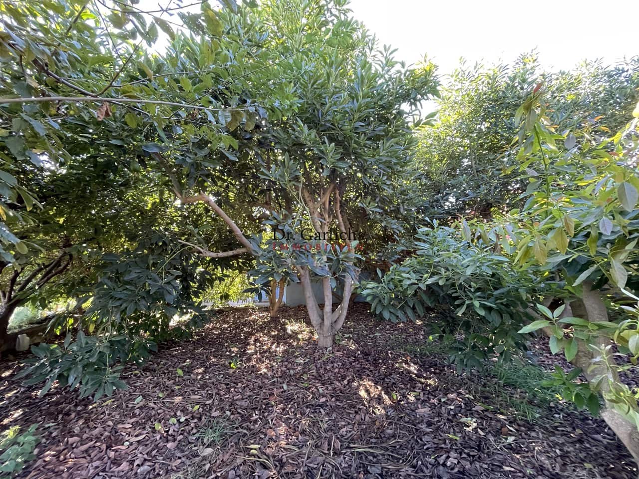 Bungalow te koop in La Orotava met garage - € 570.000 (Ref: 9685892)