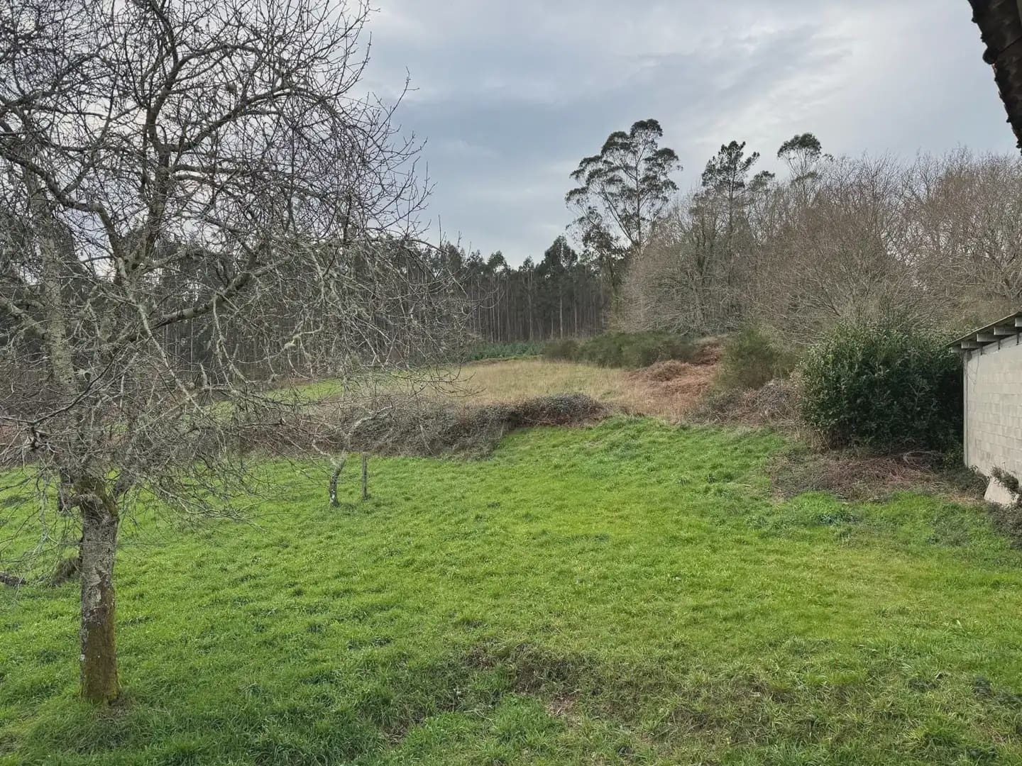 4 soveværelse Finca/Landehus til salg i Monfero - € 95.000 (Ref: 9820969)