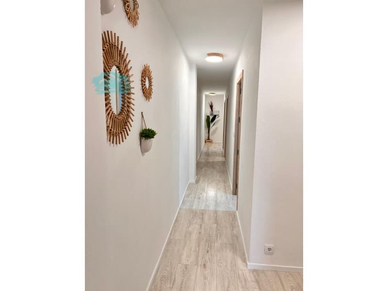 5 bedroom Flat for rent in Alicante / Alacant city - € 390 (Ref: 9502581)