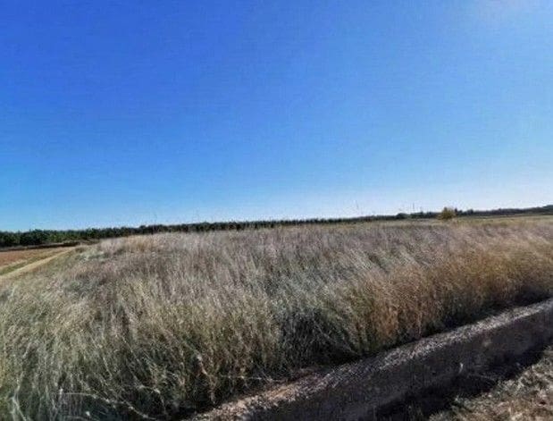 Byggetomt til salgs i La Pobla de Vallbona - € 600 000 (Ref: 9438008)