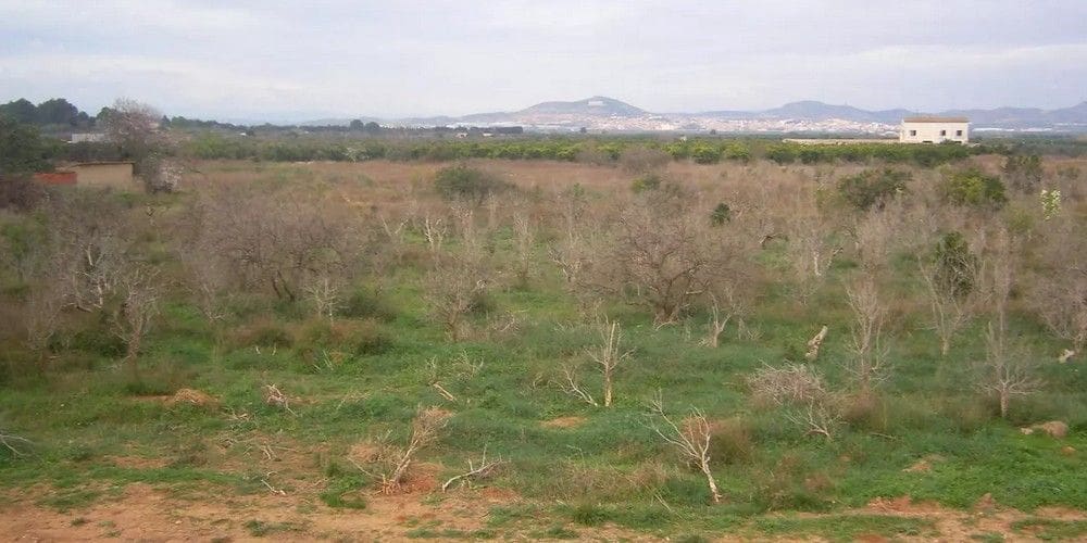 Byggetomt til salgs i La Pobla de Vallbona - € 600 000 (Ref: 9438008)