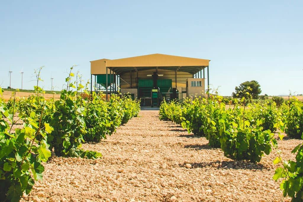 4 bedroom Finca/Country House for sale in Jumilla with garage - € 3,000,000 (Ref: 9438018)