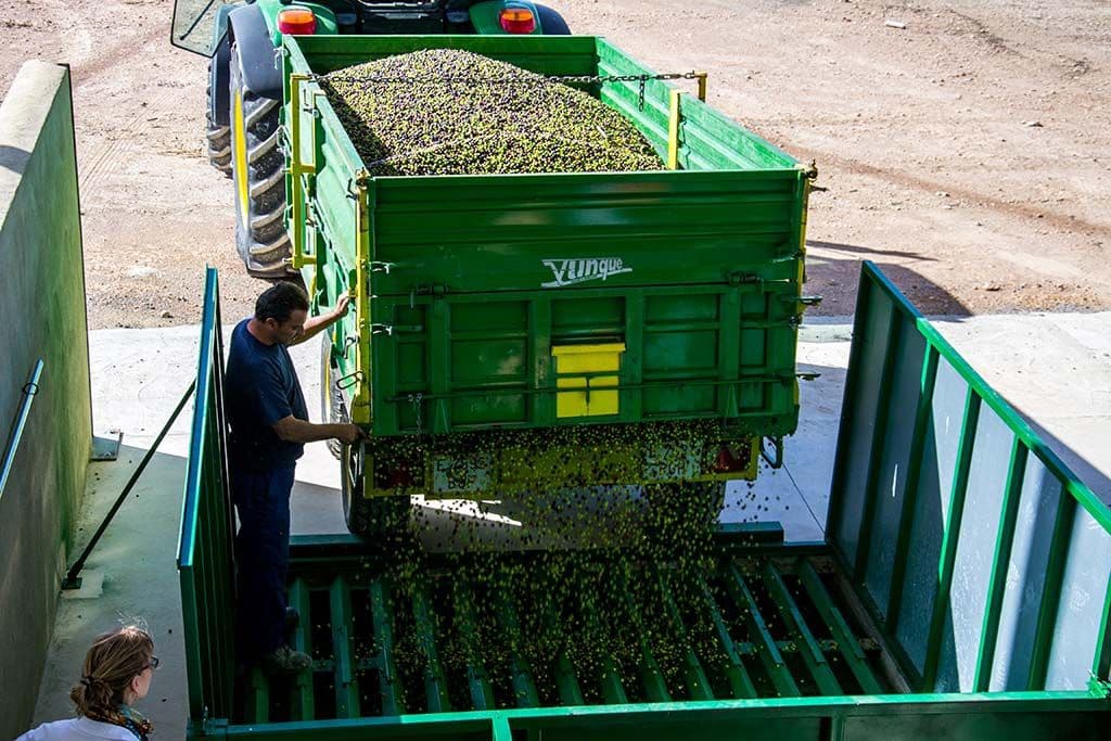 4 bedroom Finca/Country House for sale in Jumilla with garage - € 3,000,000 (Ref: 9438018)