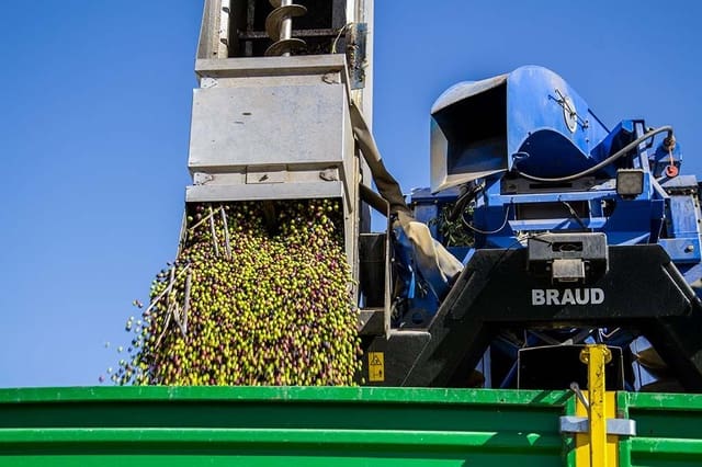 4 soverom Finca/Herregård til salgs i Jumilla med garasje - € 3 000 000 (Ref: 9438018)