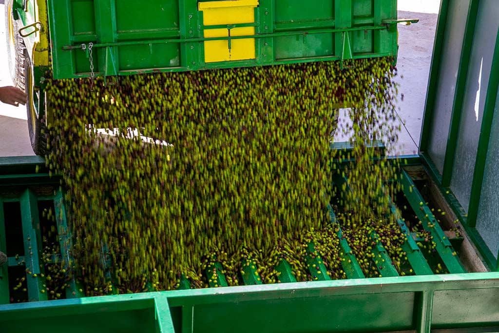 4 bedroom Finca/Country House for sale in Jumilla with garage - € 3,000,000 (Ref: 9438018)