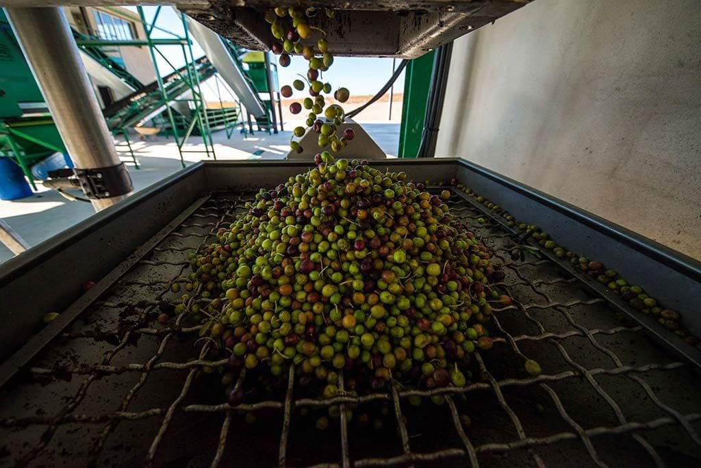 4 bedroom Finca/Country House for sale in Jumilla with garage - € 3,000,000 (Ref: 9438018)