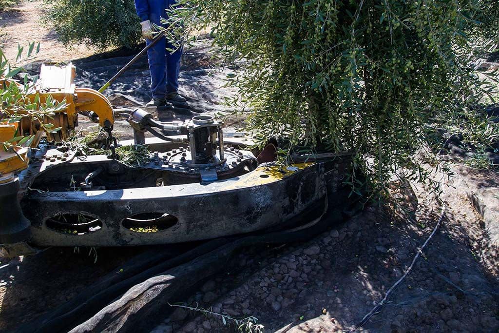 4 bedroom Finca/Country House for sale in Jumilla with garage - € 3,000,000 (Ref: 9438018)