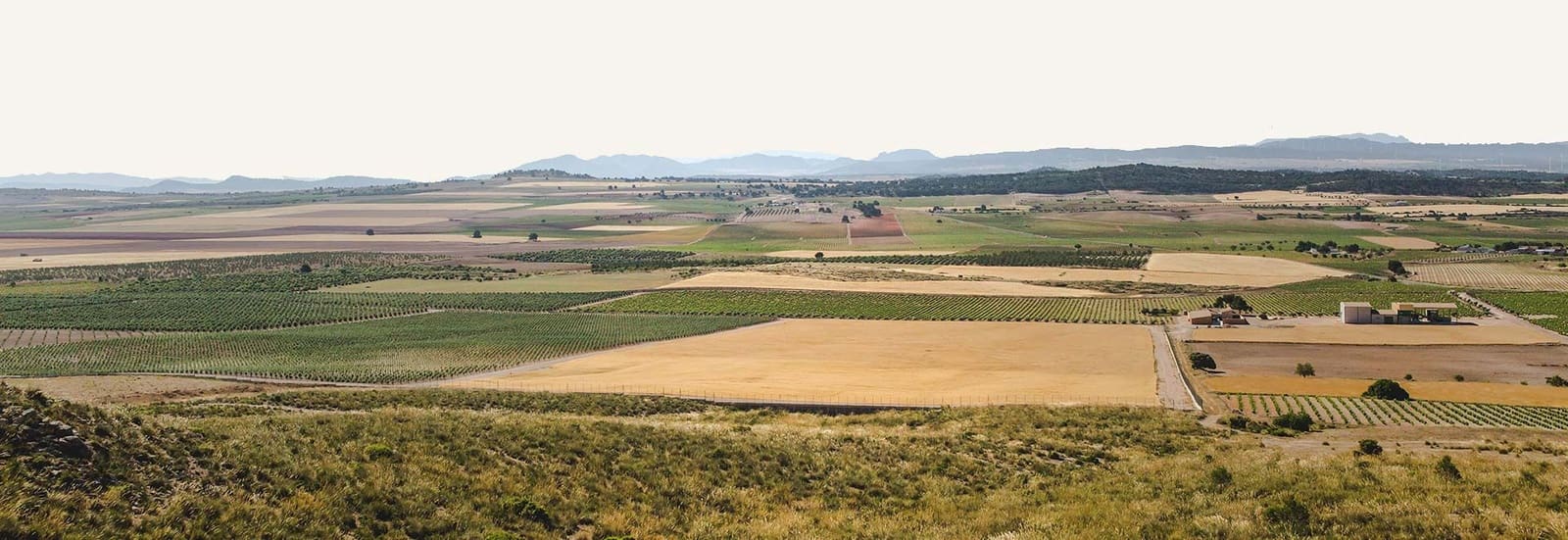 4 bedroom Finca/Country House for sale in Jumilla with garage - € 3,000,000 (Ref: 9438018)