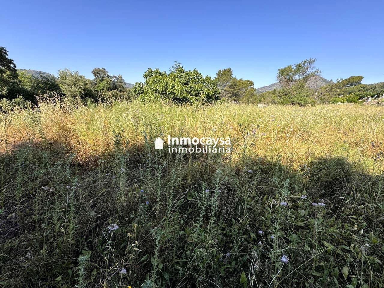 Building Plot for sale in Xativa - € 60,000 (Ref: 9453289)