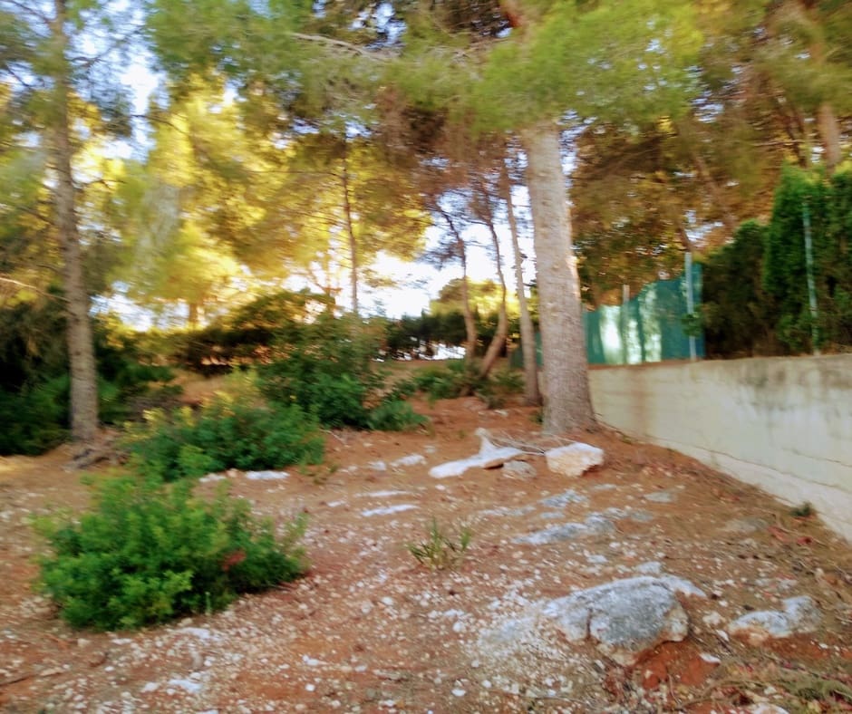 Terreno Non Edificato in vendita in Alberic - 70.000 € (Rif: 10062723)