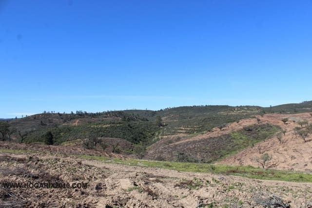 Building Plot for sale in Almonaster la Real - € 119,900 (Ref: 9720366)