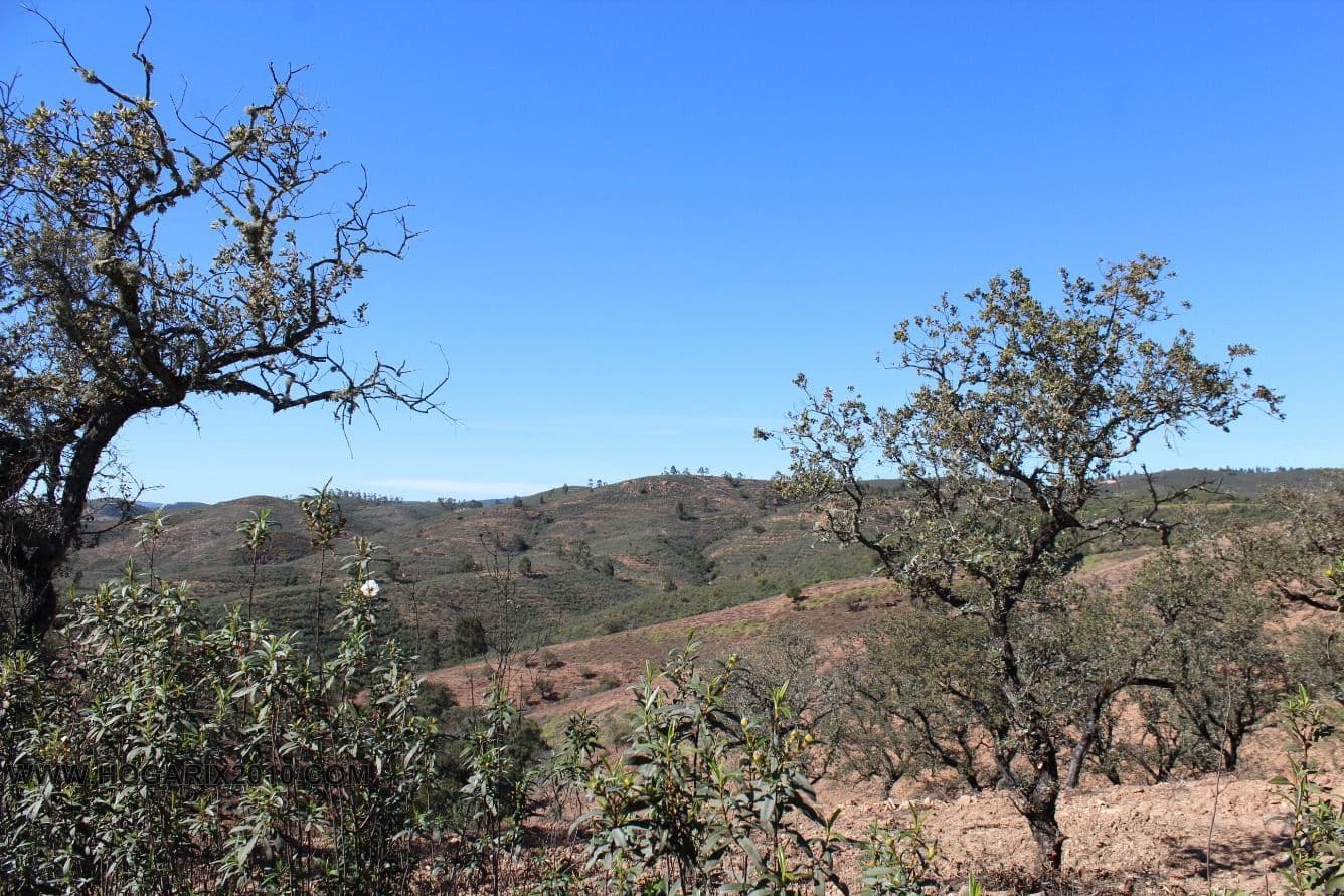 Building Plot for sale in Almonaster la Real - € 119,900 (Ref: 9720366)