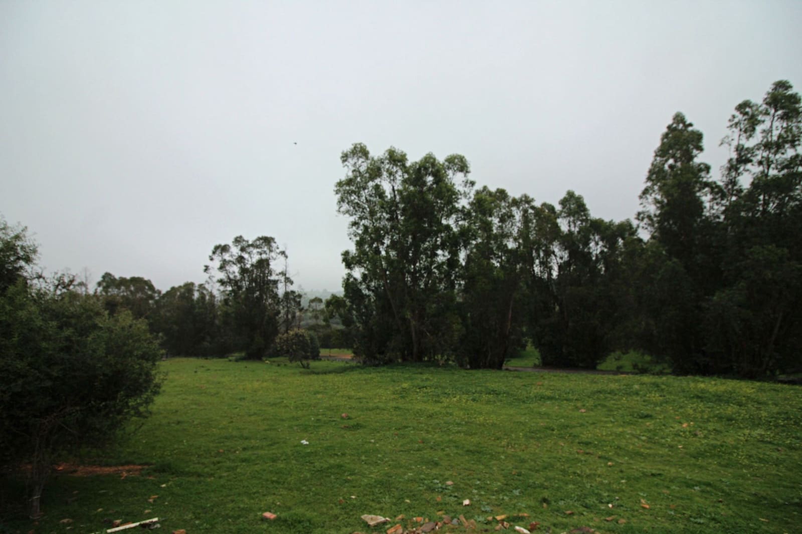 2 soverom Finca/Herregård til salgs i El Almendro - € 29 900 (Ref: 9720368)