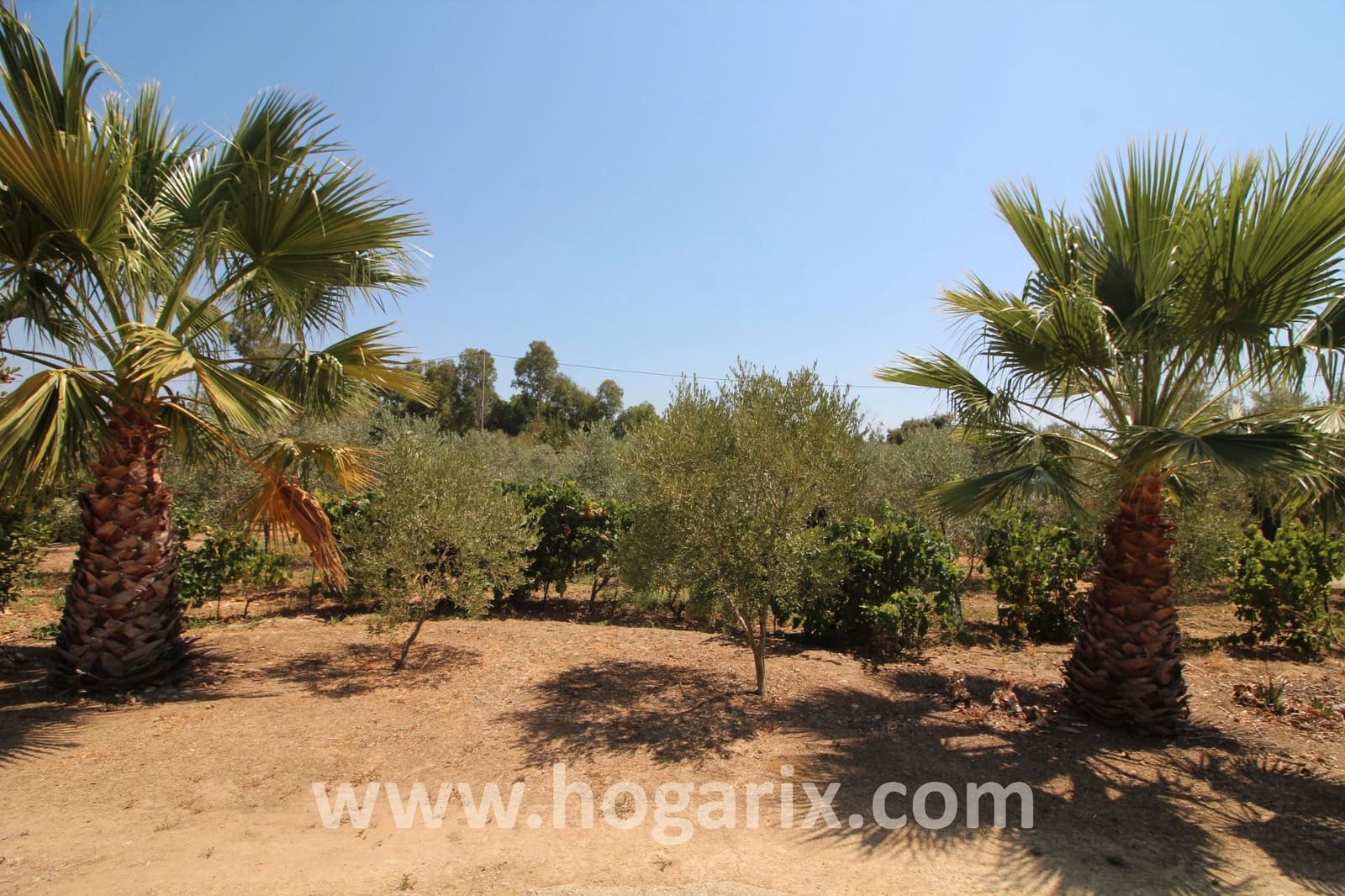 Finca/Country House for sale in Gibraleon - € 154,500 (Ref: 9720383)