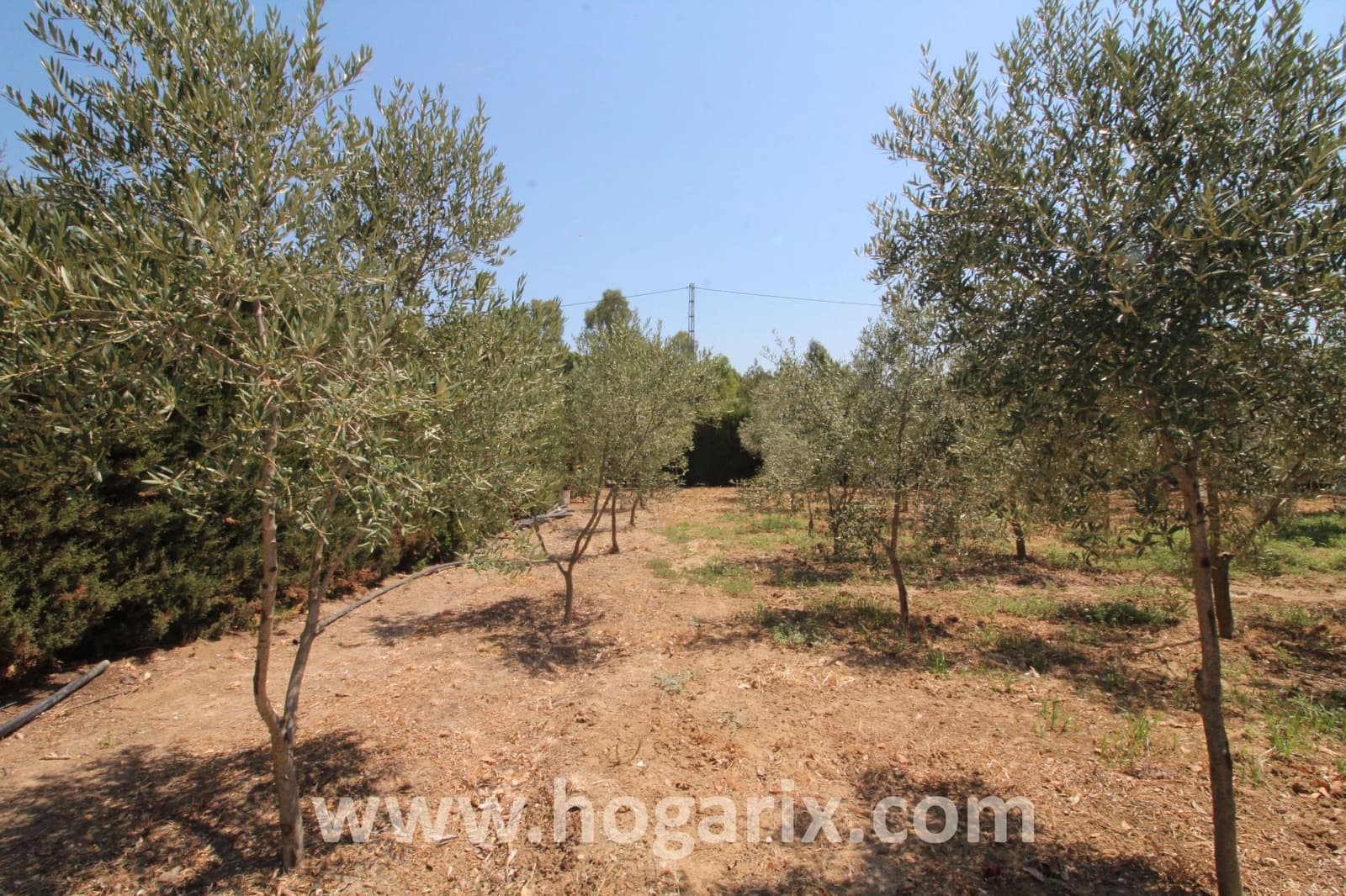 Finca/Country House for sale in Gibraleon - € 154,500 (Ref: 9720383)